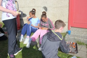 IMG_8560