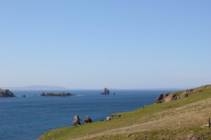 IMG_8572