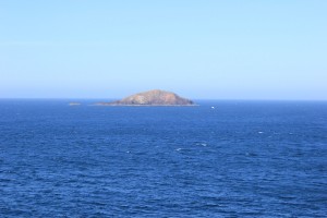 IMG_8673