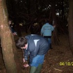 Voxter trees dens sm