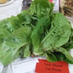 Yell Show entries and preparation 014
