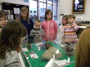 Looking at the dinosaur fossils