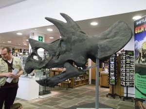 DSCF5362