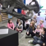 triceratops