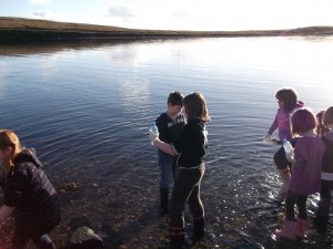 Burravoe School Shetland collecting our sea 6