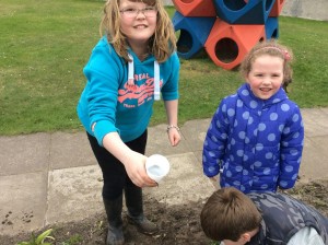 Worm Collecting