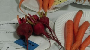 2nd prize beetroot