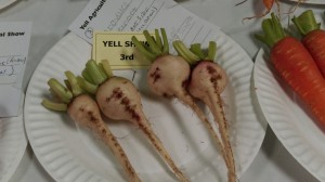 3rd prize beetroot