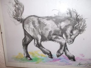 DSCF8705