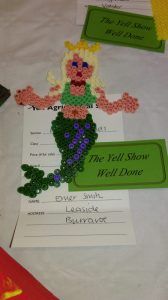 Emer mermaid